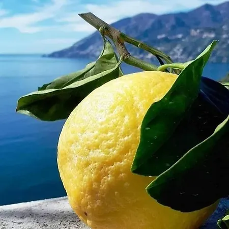 Sicilia Bedda Isolotto Lejlighed *